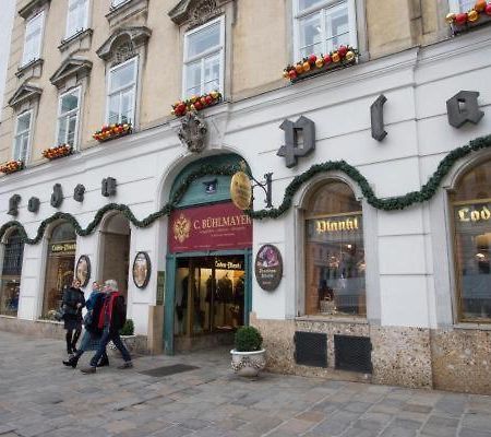 Top Apartment Michaelerplatz Vienne Extérieur photo